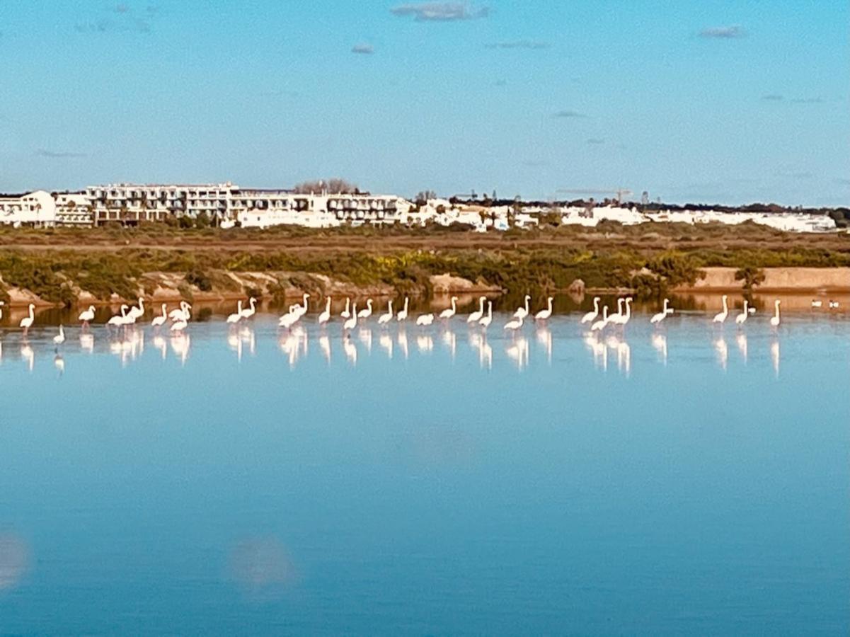 Casa Bamboo Tavira Leilighet Eksteriør bilde